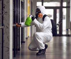 Professional Mold Removal Services in Norwood, NJ